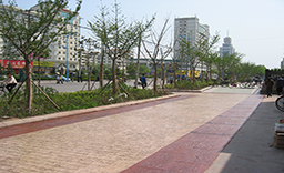 彩色壓?；炷? /><span>彩色壓模混凝土</span></a></li>

<li><a href=